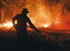 El Nino-driven heat ‘could cause nearly 500,000 more deaths’