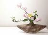 Centuries-old Japanese art draws those seeking calm