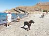Gökçeada emerges as Türkiye’s top pet-friendly destination