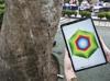 Acoustic tomography to assess hidden decay in Şişli’s century-old trees