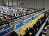 Türkiye’s fresh vegetable exports top $822 million in January-September
