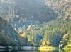 Türkiye adds 12,000 hectares to forest conservation network