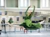 ‘Harem Ballet’ continues its 28-year journey