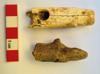 2,800-year-old bone flute found at Troy, the first in 160 years