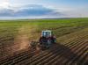 Crop output seen rising in cereals, fruits this year