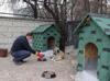 Türkiye converts food waste into animal feed in 74 provinces