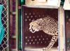 India vows action after first cheetah shot dead