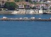 Body found 56 days after Marmara ship collision