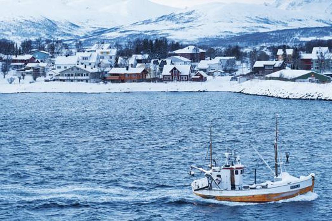 Norveç’te balık sefası