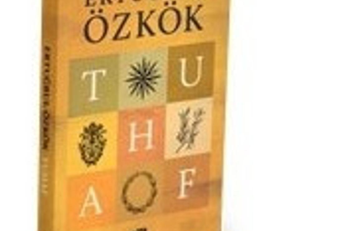 Ertuğrul Özkök / Tuhaf Seyahat Haberleri