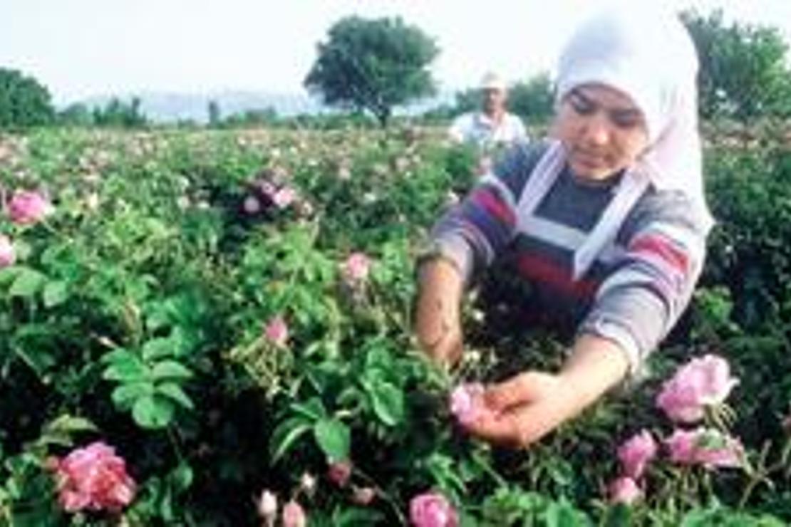 Yalvaç’ta bir günde beş bin yılı solumak