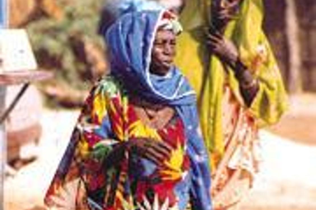 Afrika’nın tüm renklerini ve kokularını tanımak için Gambia ve Senegal