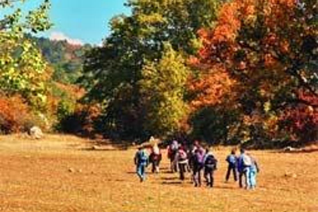 DOĞASEVERLERE, FOTOĞRAF MERAKLILARINA SONBAHAR YÜRÜYÜŞ ROTALARI