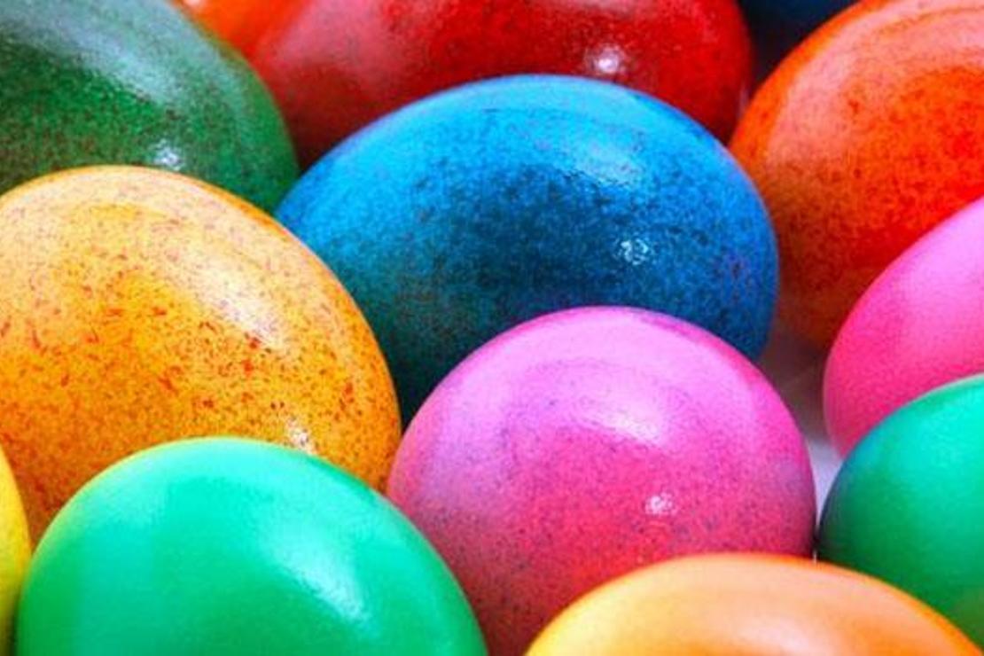 Renkli yumurtaların sırrı