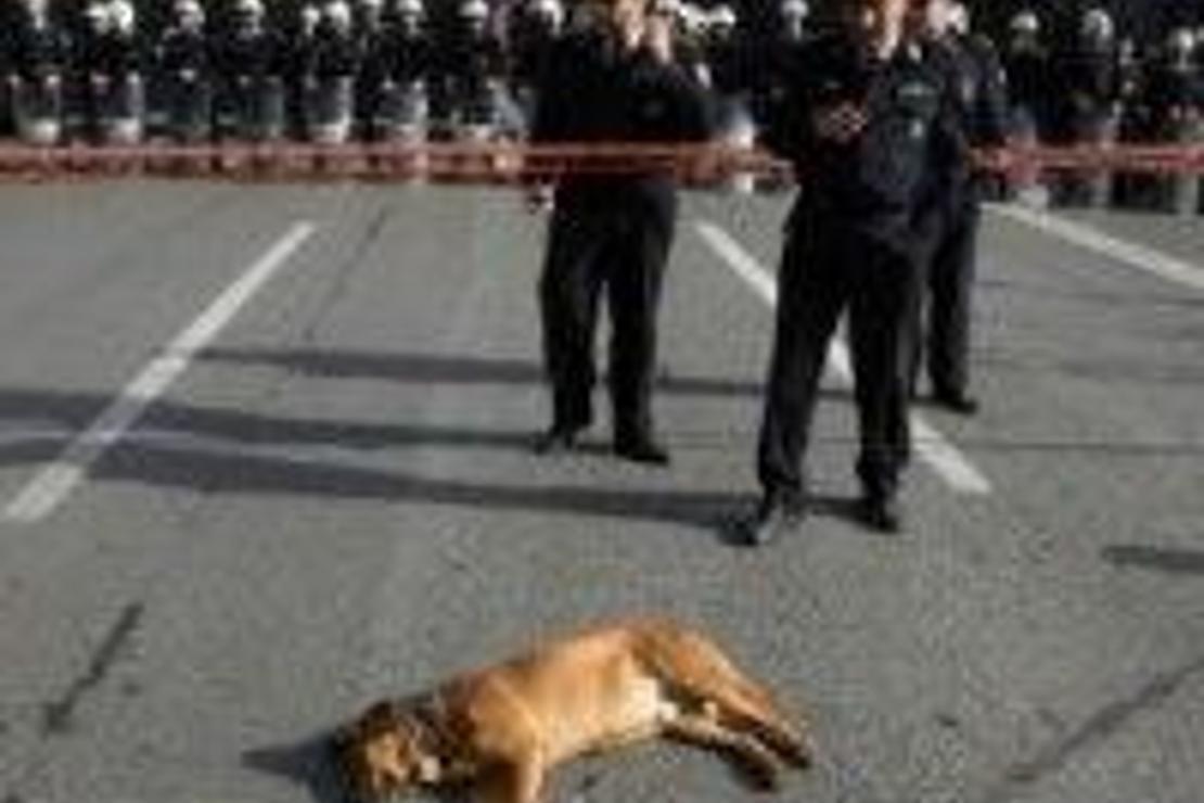 Yunanistan'ın en savunmasız protestocuları