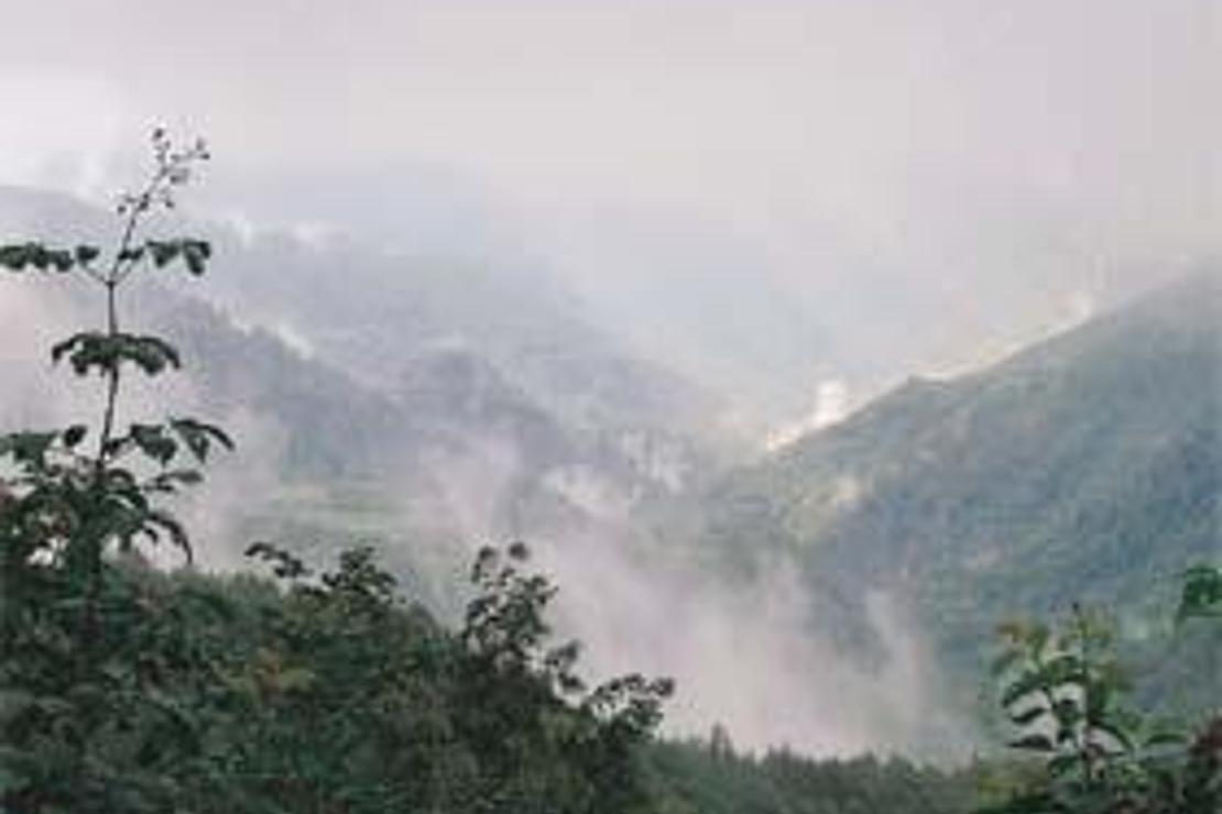 Batı Karadeniz’in saklı bitki cenneti