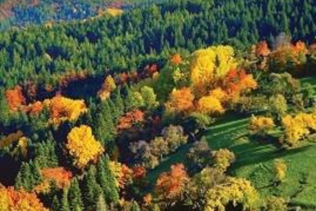 Kastamonu renklendi fotoğrafçılar sevindi