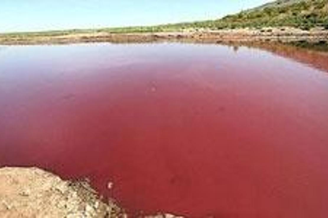 Teksas'taki baraj gölünün suyu kırmızıya döndü