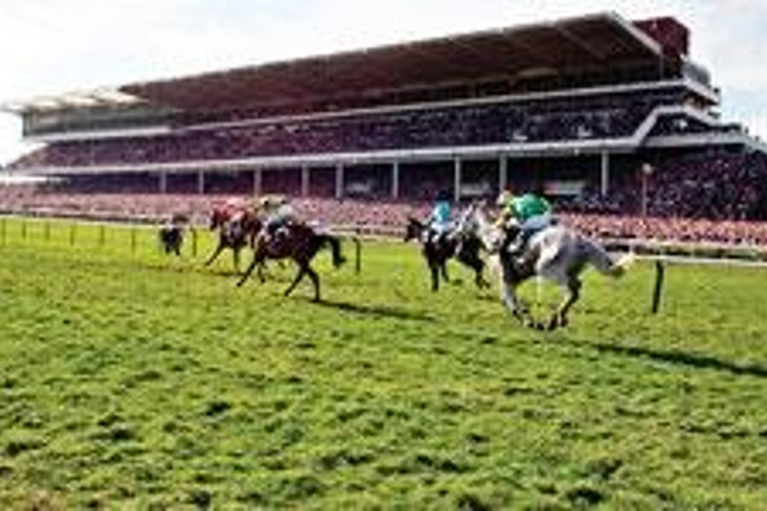 Cheltenham’da atlar koşuyor, ekonomi kazanıyor