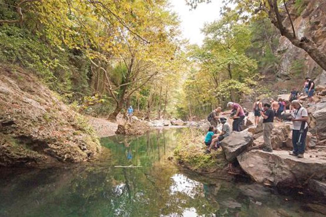 Kaz Dağları’nda büyük buluşma