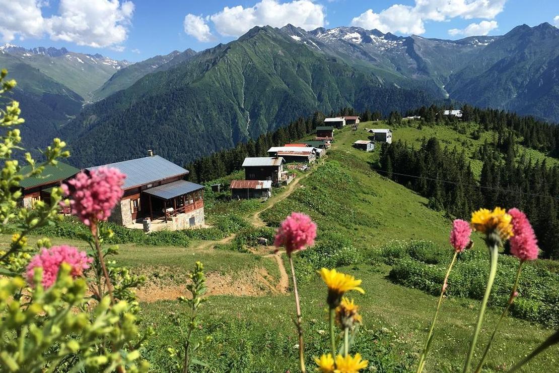 Bir yayladan çok ötesi… / Pokut yaylası Rize