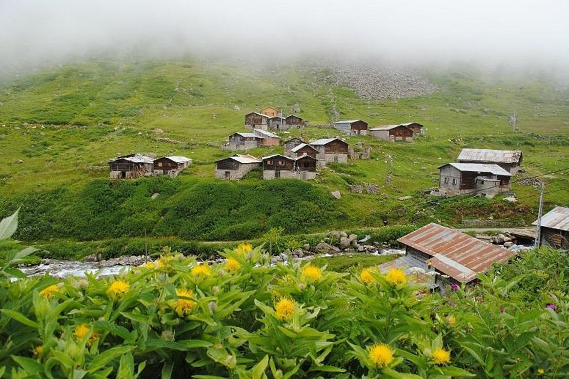 Sana güzel diyorlar dere içi Elevit...