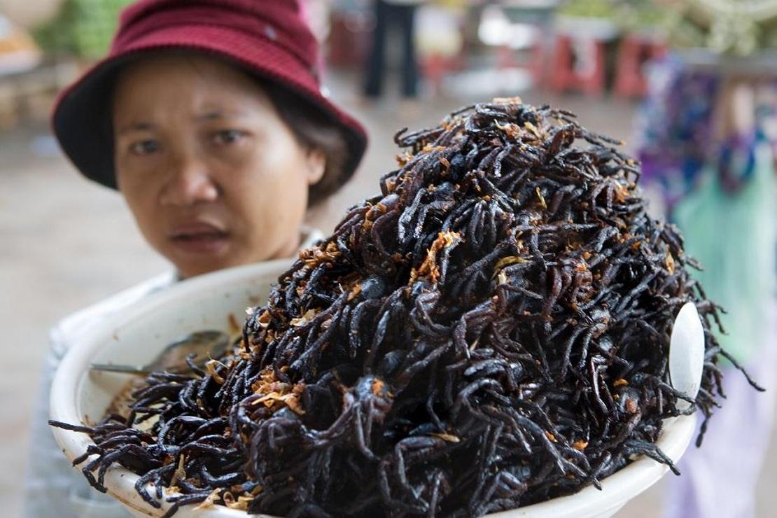 Kamboçya’da bir tarantula istilasıyla karşı karşıya kalırsanız, ne yapmalısınız?