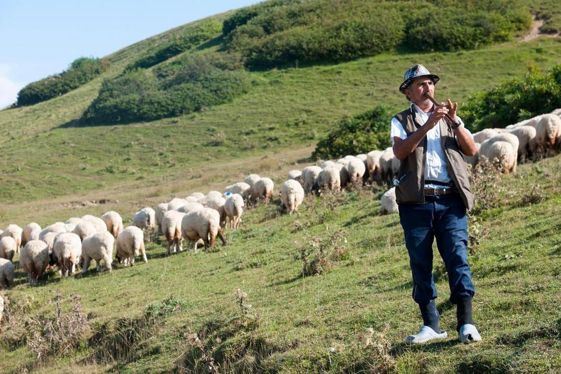 Yeşilin her tonu: Karadeniz Yaylaları