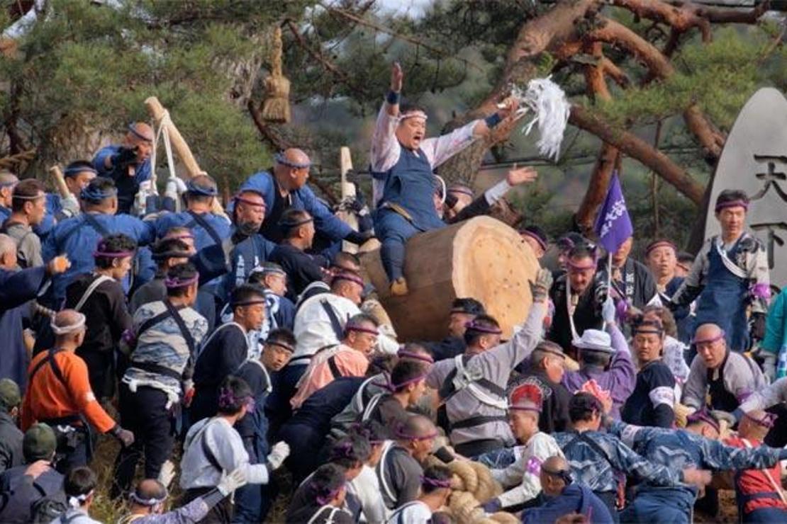 Hem eğlenceli hem de tehlikeli etkinlik: Kutsal Kütük Festivali / Japonya