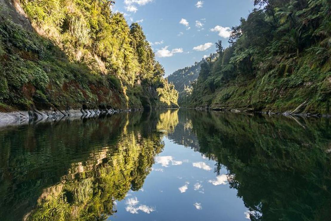 Yeni Zelanda'nın canlı statüsüne giren nehri: Whanganui