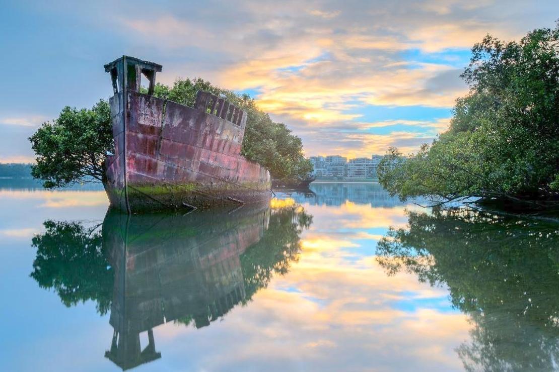 102 yıllık terk edilmiş gemi yüzen ormana dönüştü! / Avustralya