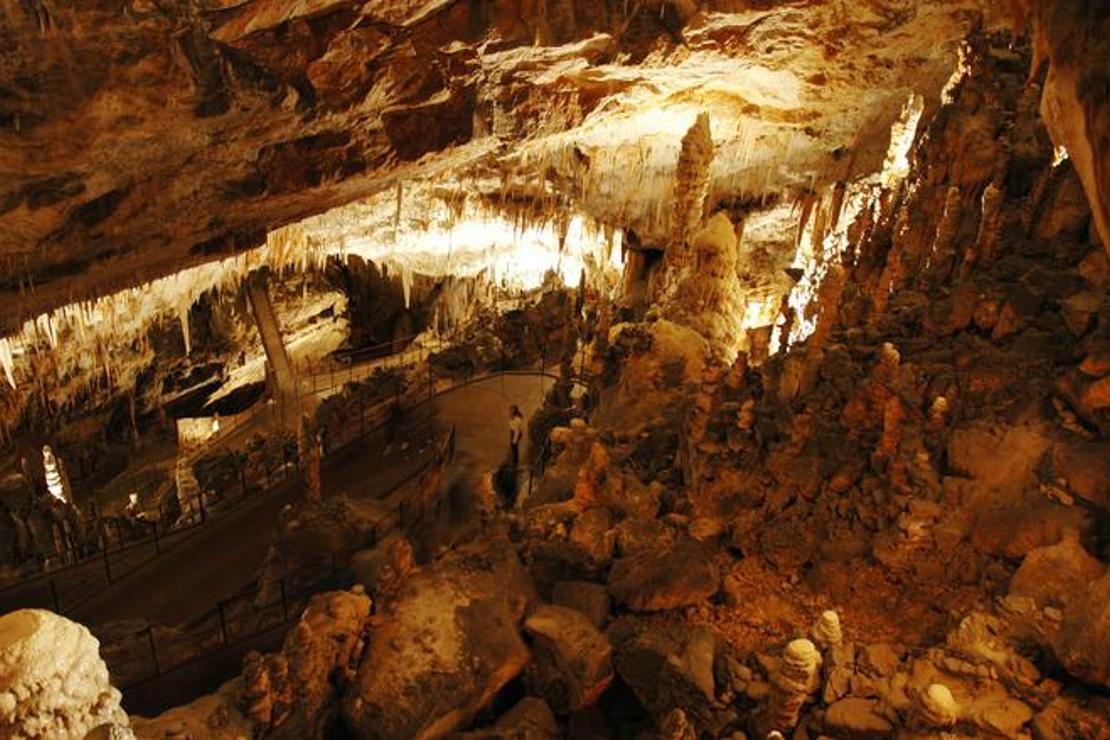 Dünyanın en ilginç canlısına ev sahipliği yapan mağara