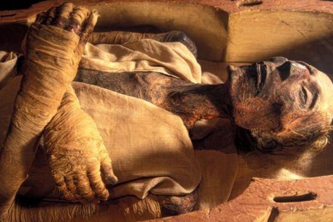 Antik Mısır mumyalarının genleri ilk kez incelendi