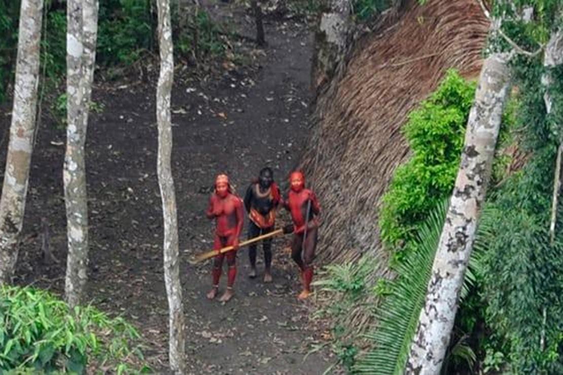 Javari Vadisi'nde dünyadan izole yaşayan kabileyi katlettiler