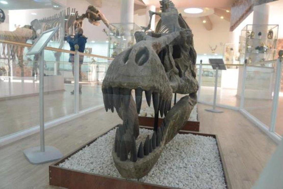 Gaziantep'te Türkiye'nin ilk Zooloji Müzesi