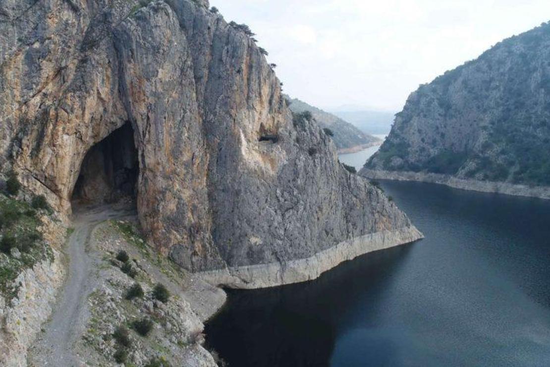 Yarasalar için suni mağara yapıldı