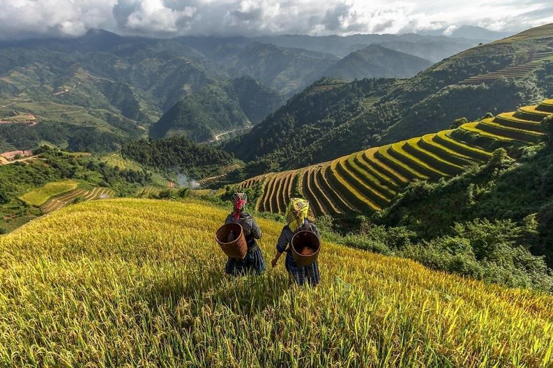 Hüzün ve neşe arasında Vietnam ve Kamboçya 