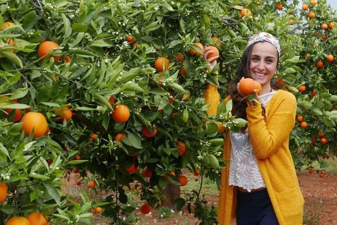 Her daim sıcak ve portakal kokulu kent: Valensiya