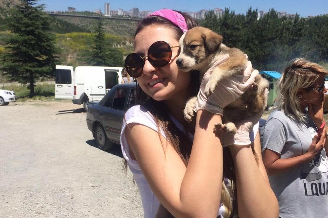 Yüzlerce sokak köpeğinin evi: Patiliköy