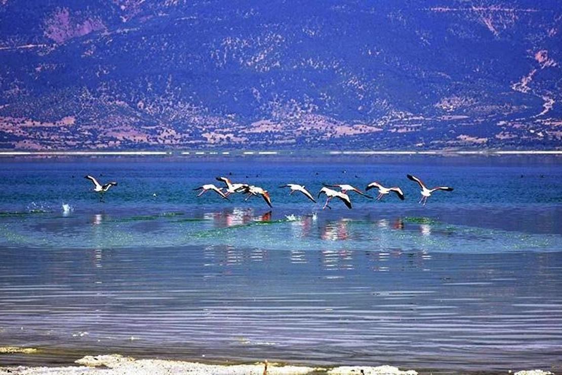 Burdur Gölü’nün son misafirleri 