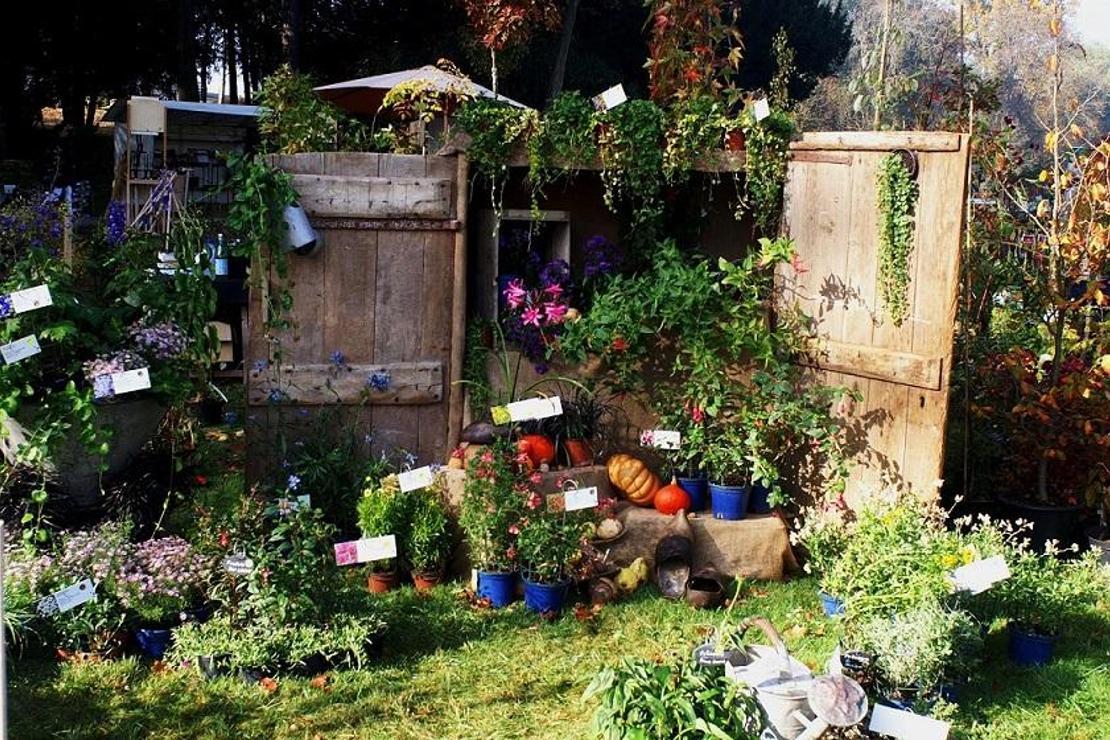 'Krem Şanti'nin vatanında bitki şenliği