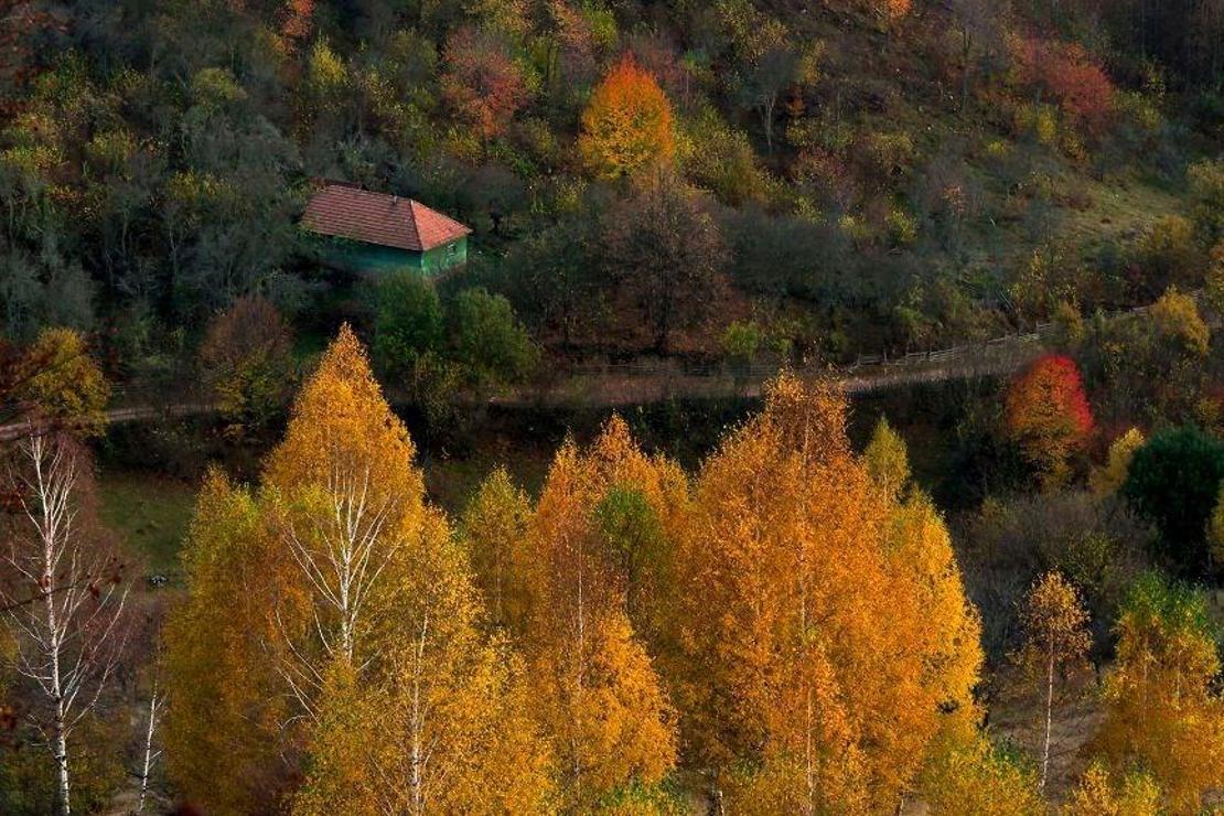 Drakula'nın peşinde saklı cennet: Transilvanya