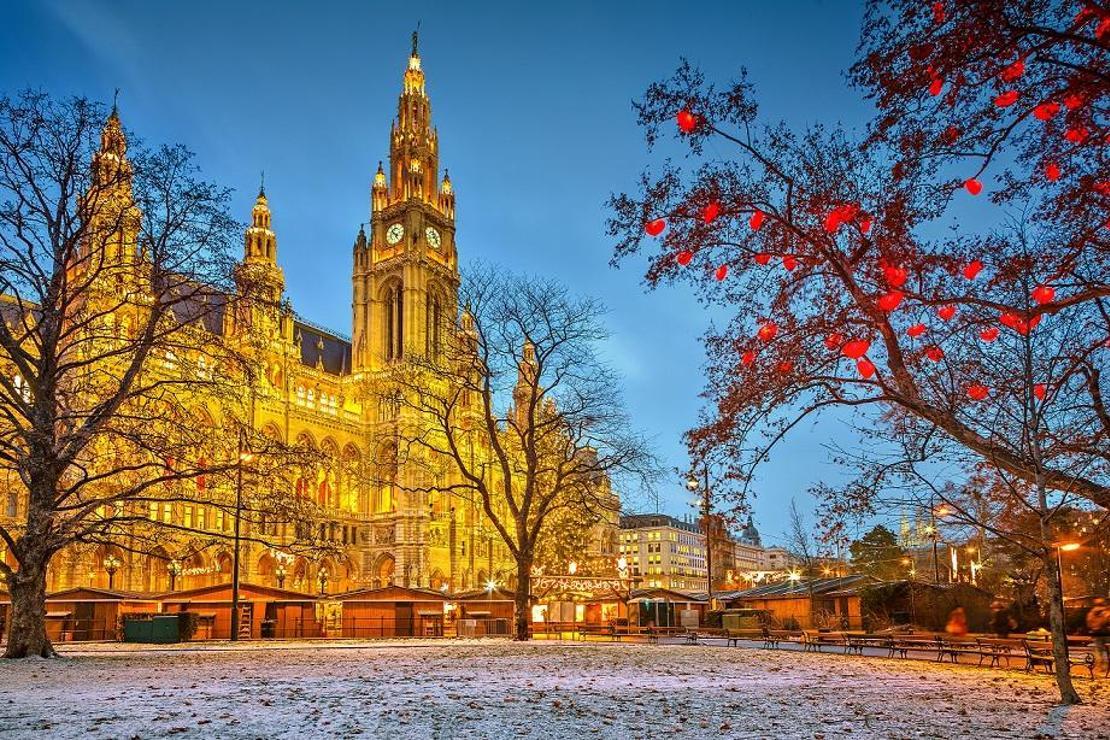 Harika bir kış rotası: Viyana