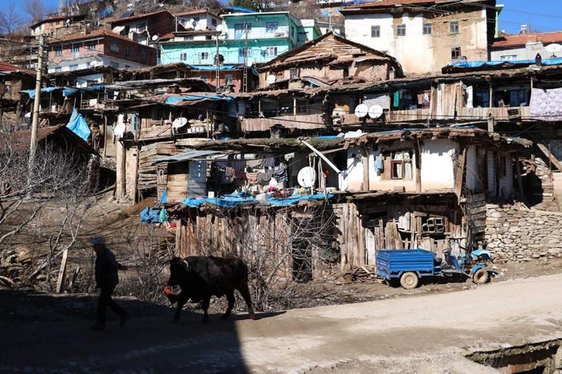 Nepal değil Manisa! Foto safari tutkunlarının uğrak yeri oldu...