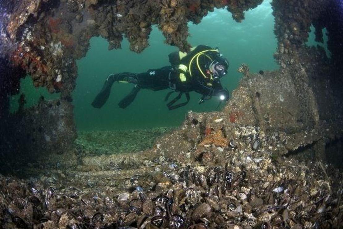 Çanakkale Boğazı'nın batık savaş gemileri dalış turizmine kazandırılıyor