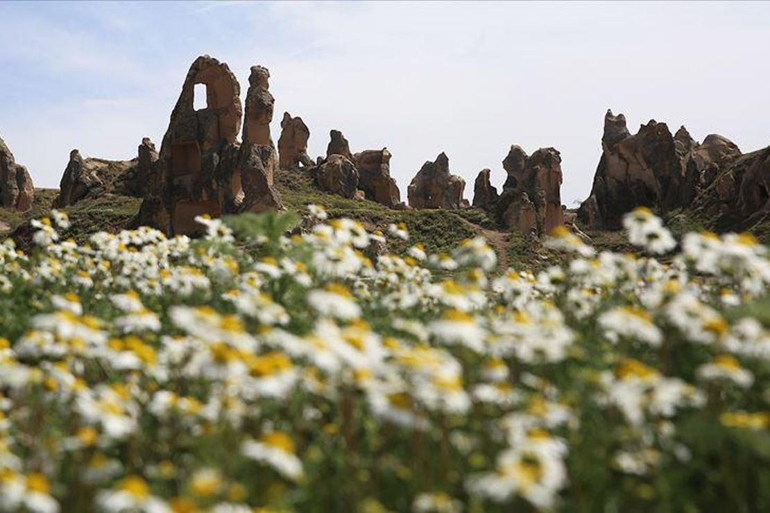 Kapadokya 'çiçek açtı'