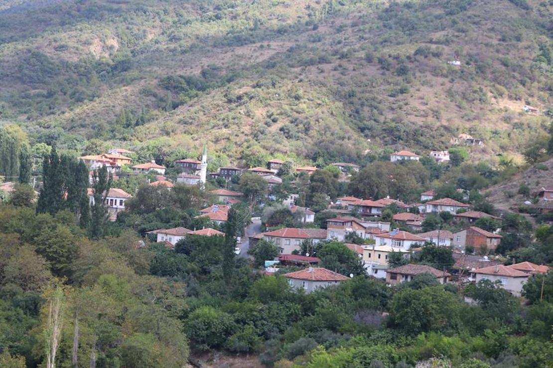 Denizle dağın, kirazla bağın buluştuğu kent: Tekirdağ