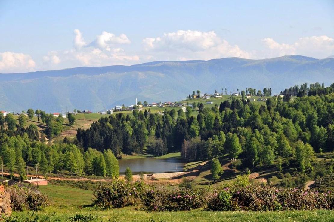 Zirvedeki doğa harikası: Hıdırnebi Yaylası