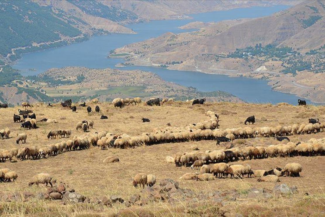 Şenyayla başarılı operasyonlarla huzura kavuştu