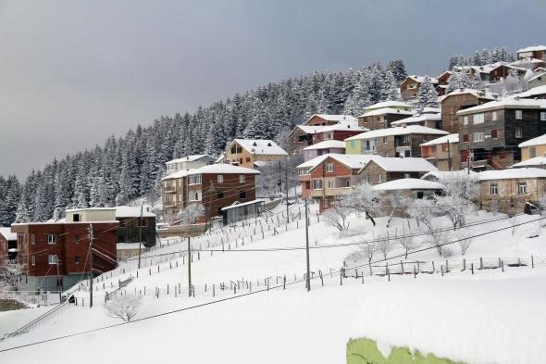 Giresun yaylalarında kar keyfi